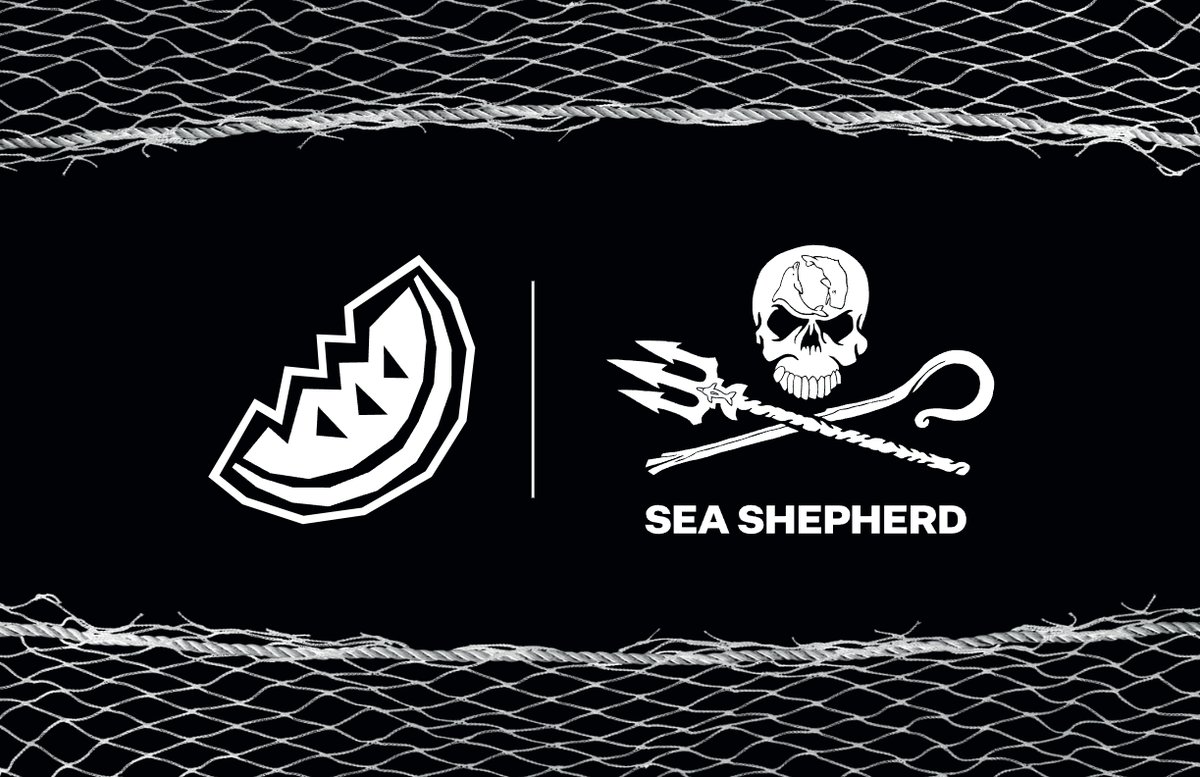 Melon × Sea Shepherd