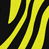 Neon Zebra