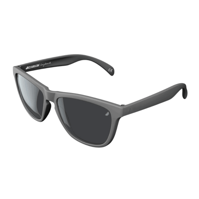 Layback sunglasses VIP - grey